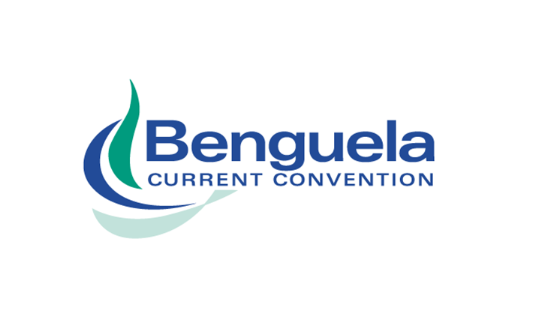 You are currently viewing Benguela Stakeholder Consultation Report